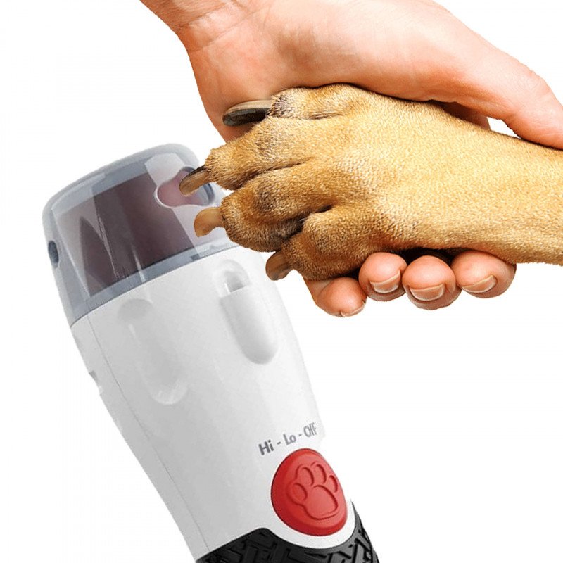 12000350-thickbox_default