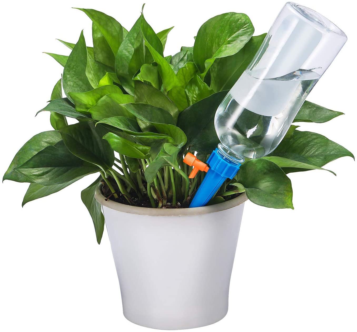 71YF5C-xcNL._AC_SL1500_