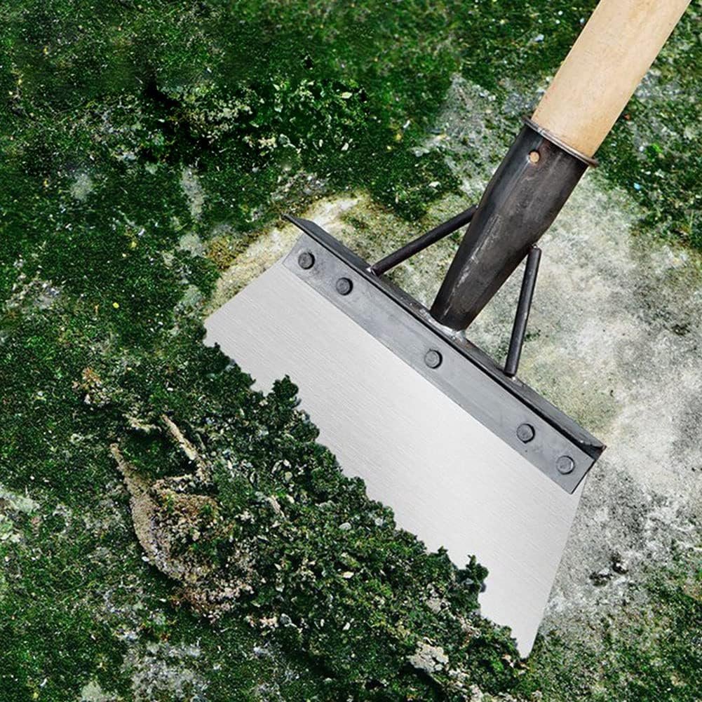 71mjH2xFcSL._AC_SL1001_