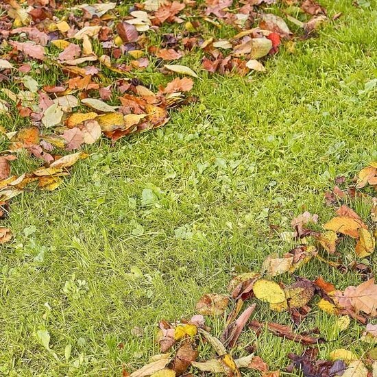 A1tKu1E4L5L._AC_SL1500