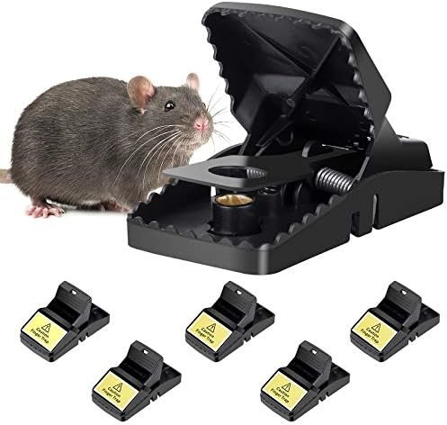 B08HRTDM15-0-1723814744881