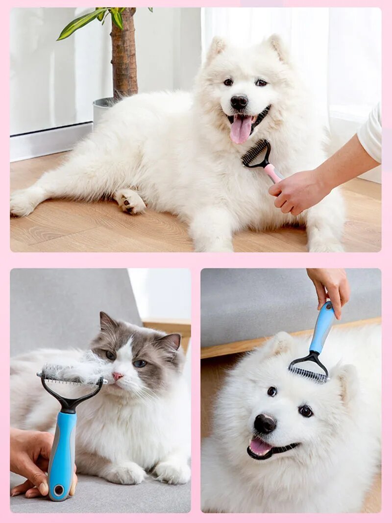 H18f36e4d56a843299d18bba615a34f42W