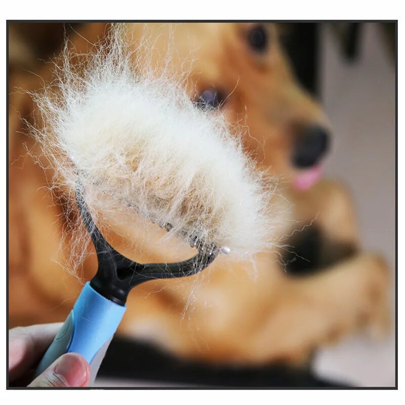 H44b22ea53da5468e9bd2472b59950b9ax