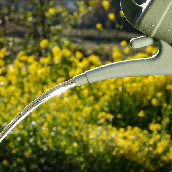 cdn_shopify_com-22_93640b05-6ea8-4e9a-85c8-2ef8732458ab