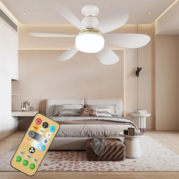 5578-Light-fan-1-e1756819970530