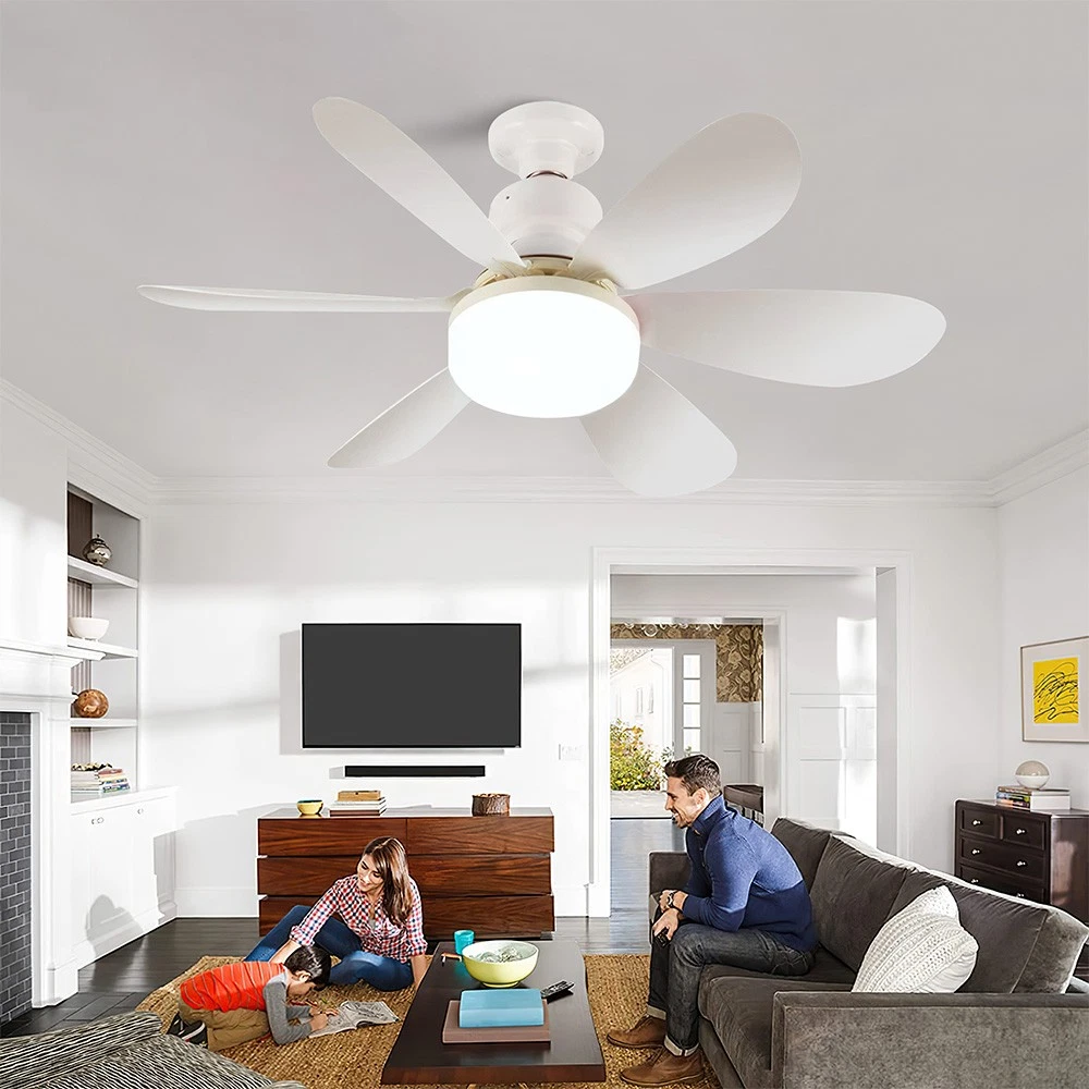 5578-Light-fan-2
