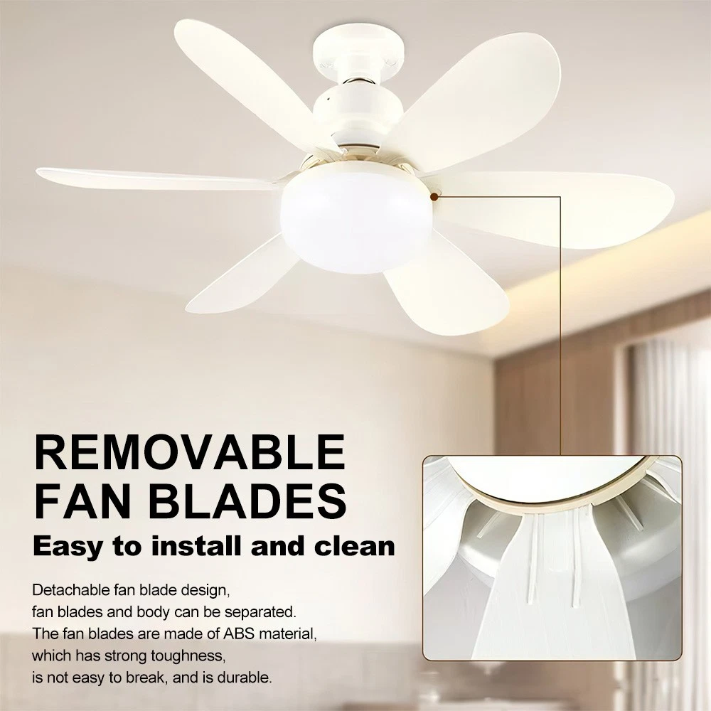 5578-Light-fan-3
