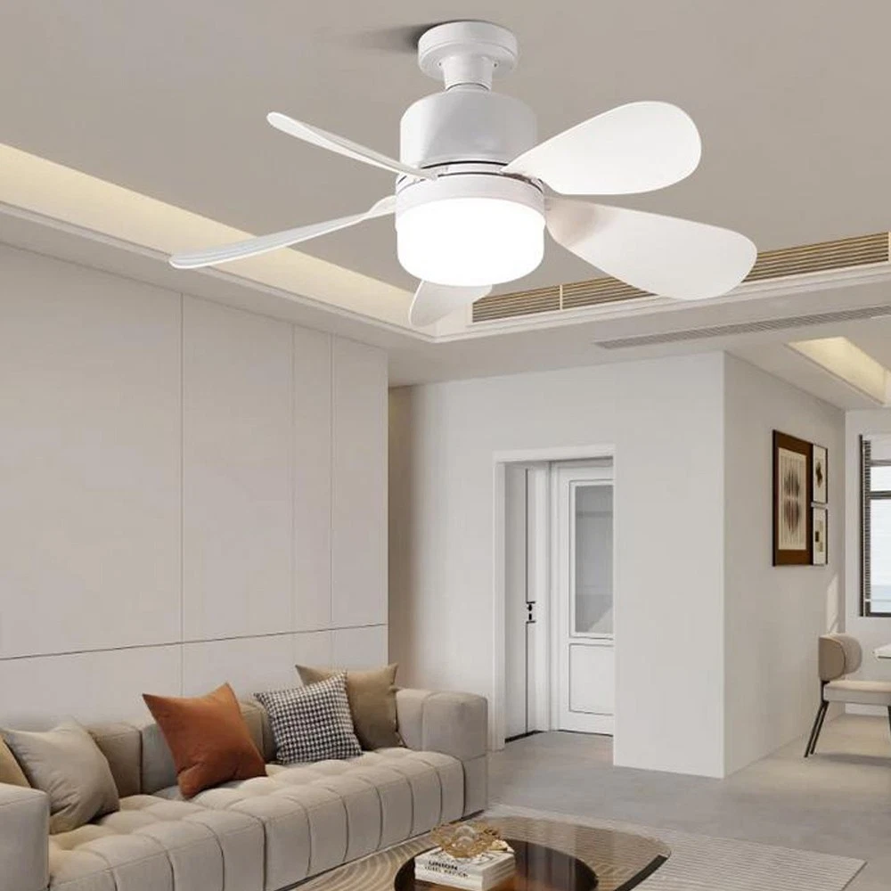 5578-Light-fan-5