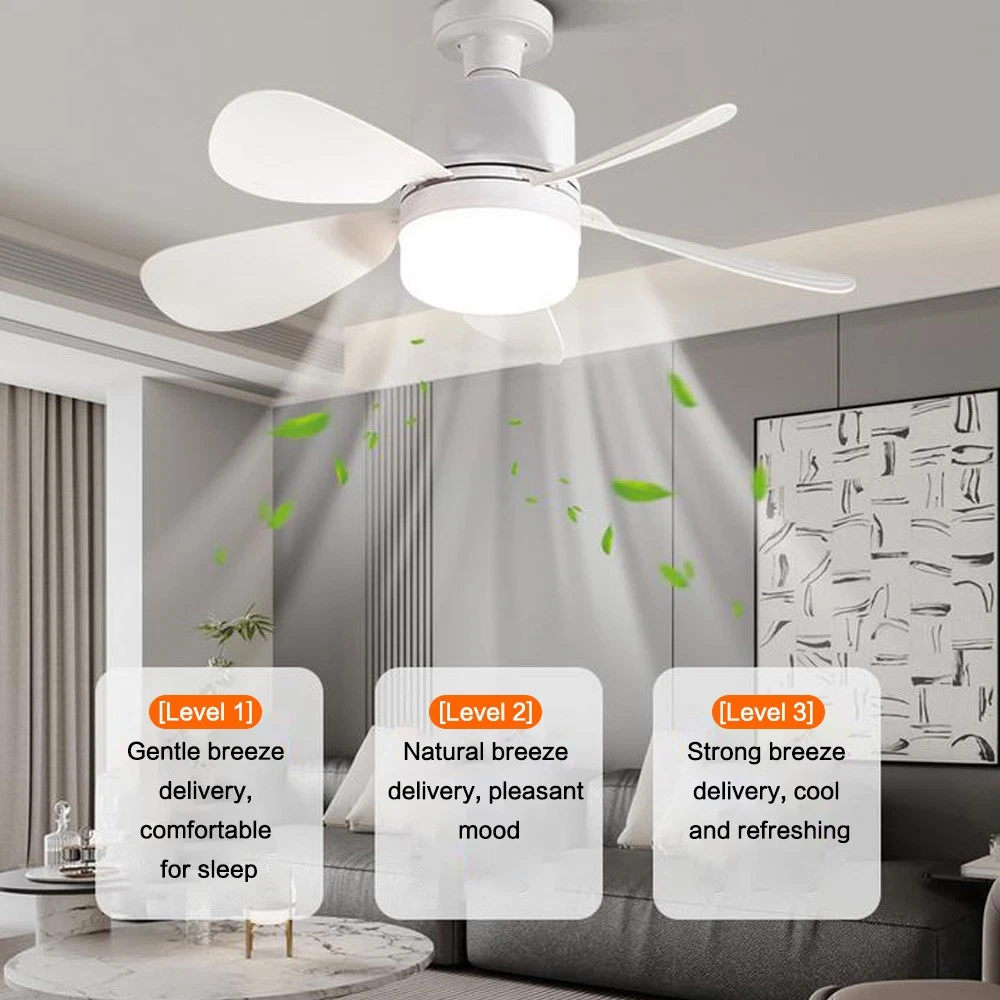 5578-Light-fan-6