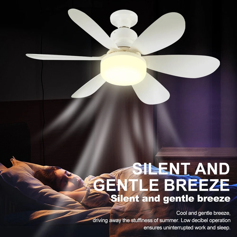 5578-Light-fan-7