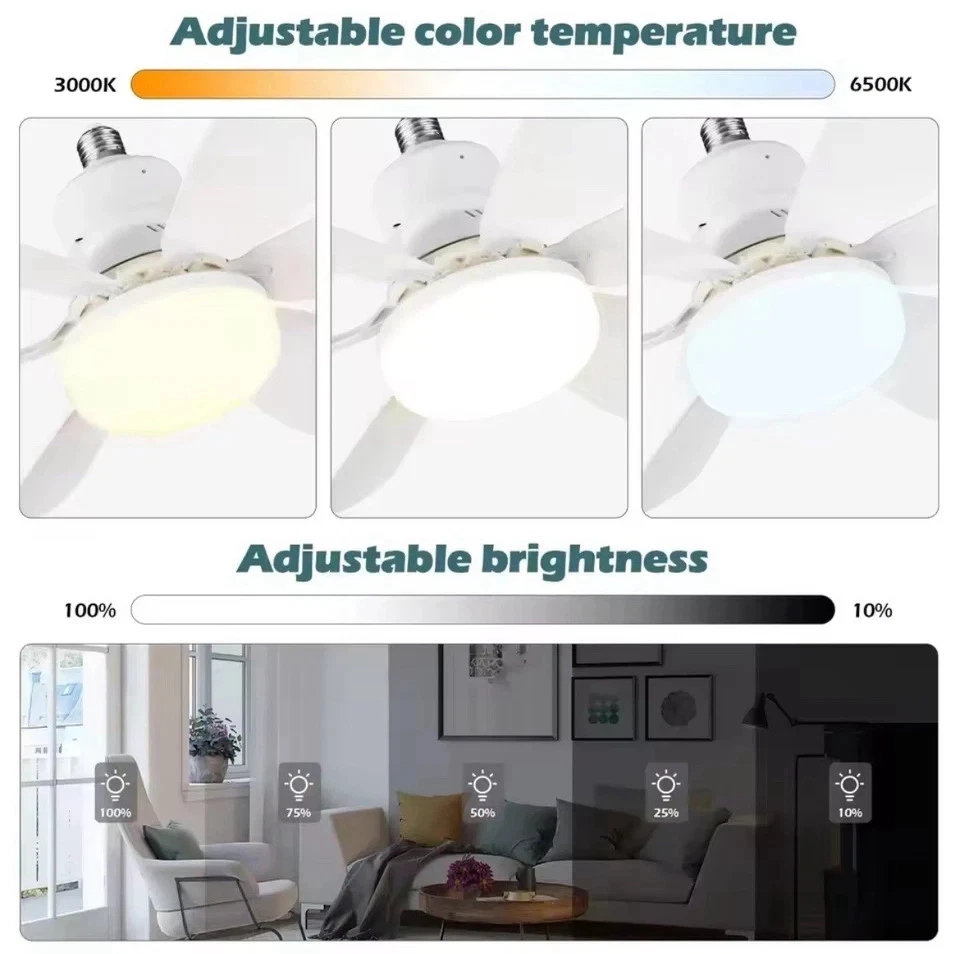 5578-Light-fan-8