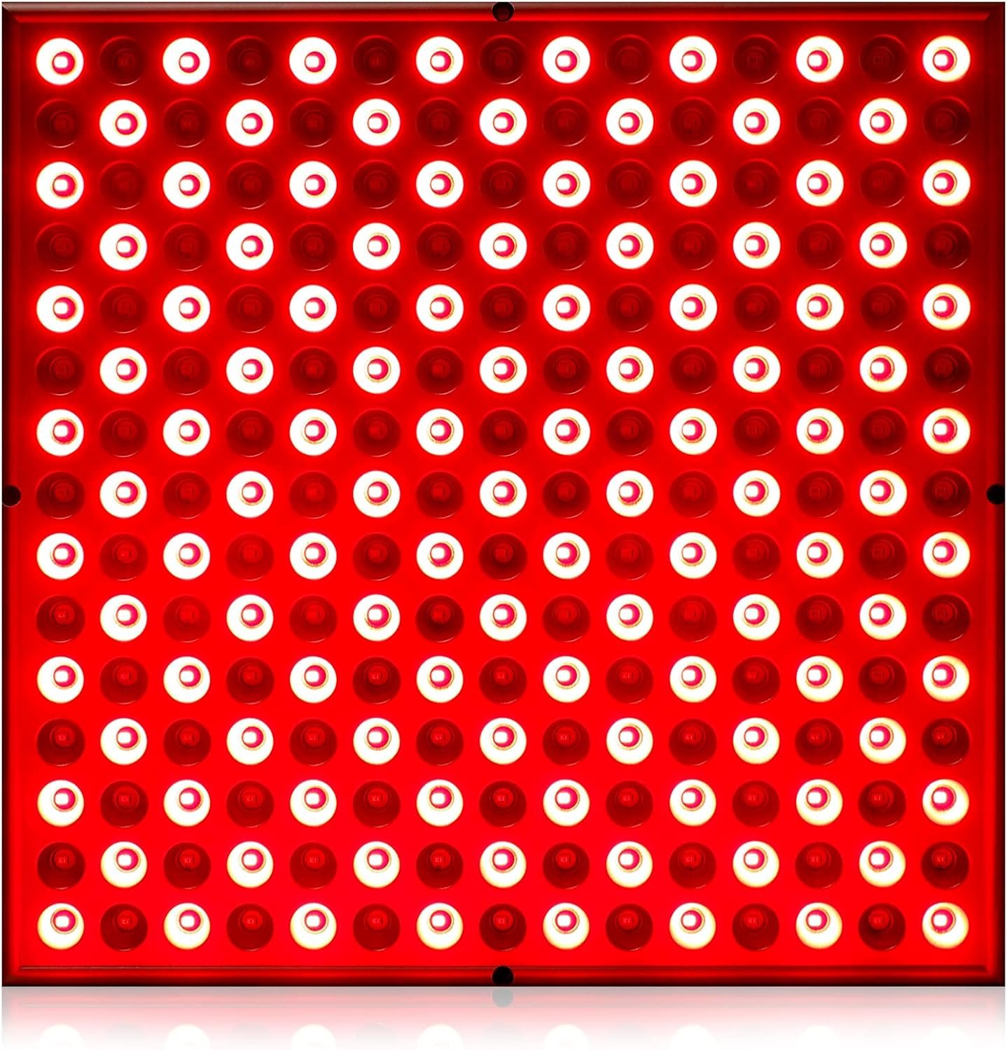 81qsdJPUfL._AC_SL1500_